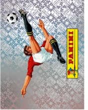 Postal 00 Panini Logo