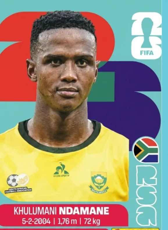 Postal RSA5 Sudafrica 5