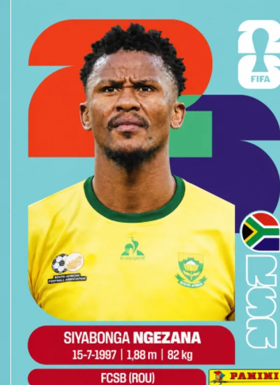 Postal RSA8 Sudafrica 8